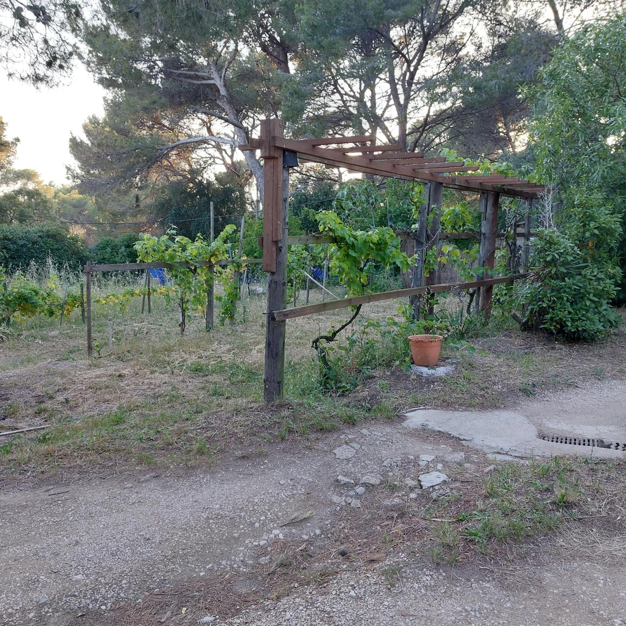 Naturetmer4 Six-Fours-les-Plages Esterno foto